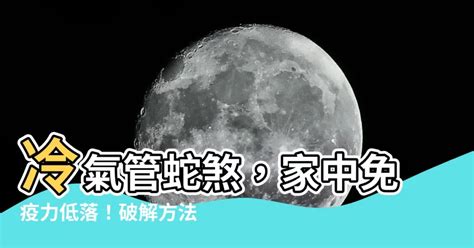 蛇煞化解|【蛇煞影響】蛇煞影響！家裡的蛇煞怎麼辦？延長線家電擺放需留。